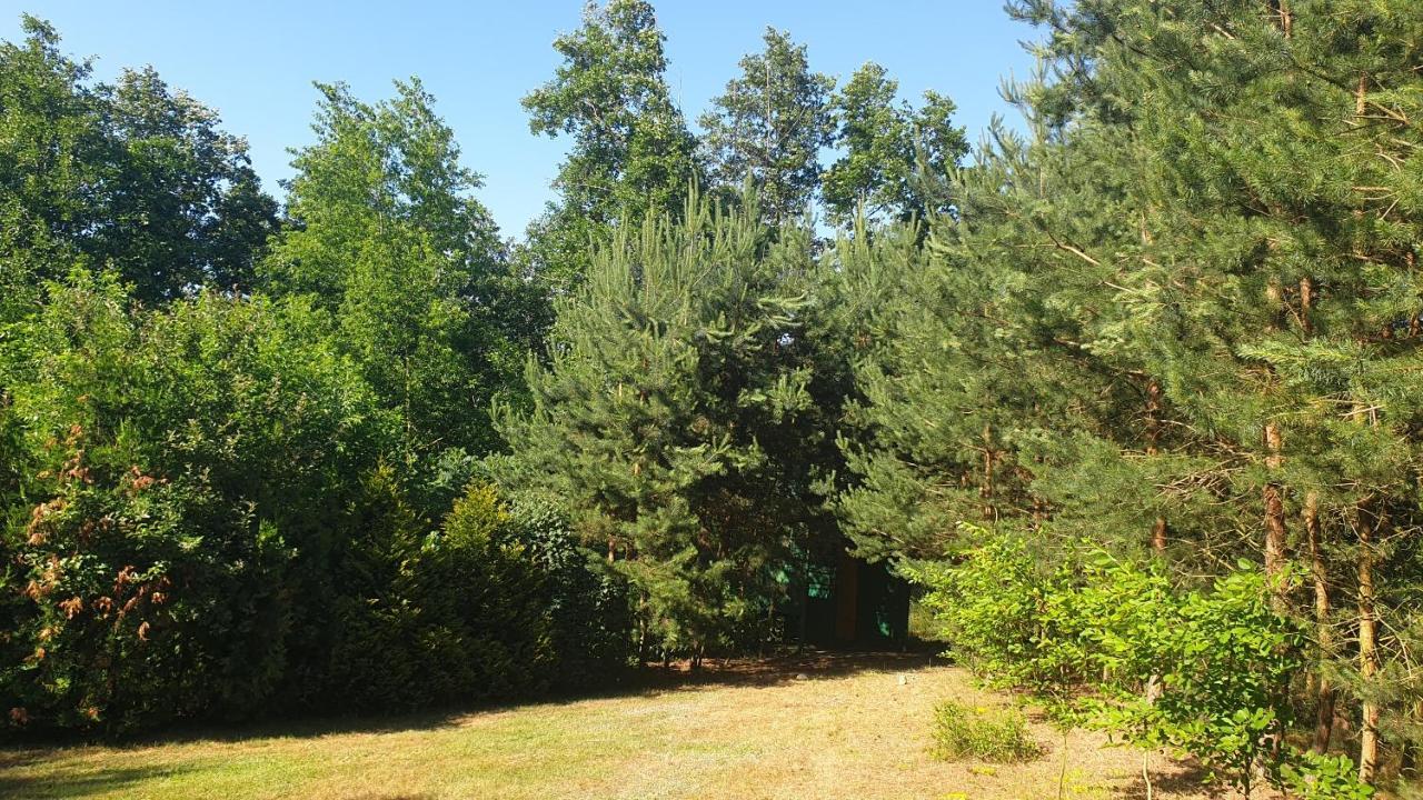 Domki Nad Jeziorem, Las, Do 10 Osob Jezioro Wilczynskie Budzislawskie - Domek Letniskowy Osobno Ogrodzony, Ogrzewany Mile Widziane Pieski, Zwierzeta- Wielkopolska, 62-550 Zygmuntowo Gm Wilczyn Экстерьер фото