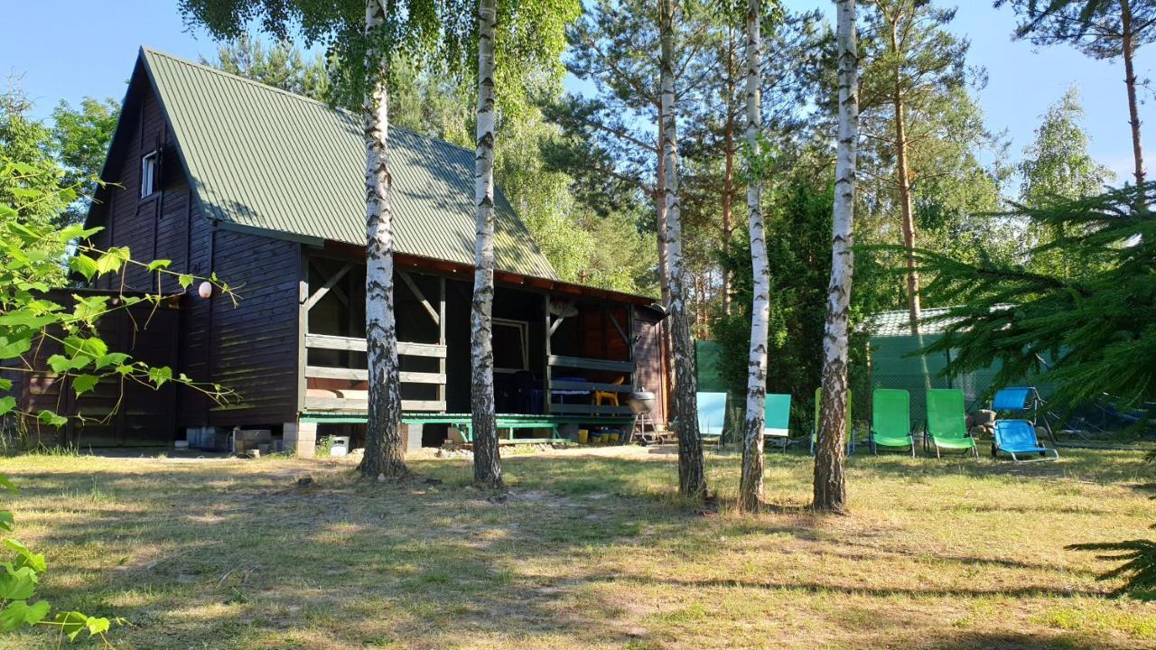 Domki Nad Jeziorem, Las, Do 10 Osob Jezioro Wilczynskie Budzislawskie - Domek Letniskowy Osobno Ogrodzony, Ogrzewany Mile Widziane Pieski, Zwierzeta- Wielkopolska, 62-550 Zygmuntowo Gm Wilczyn Экстерьер фото